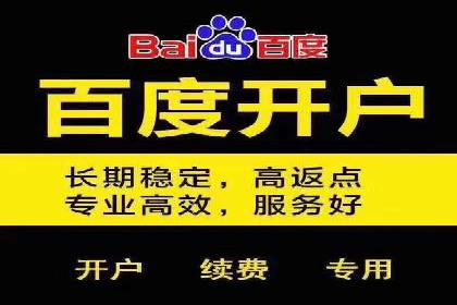 百度竞价包年推广案例分析